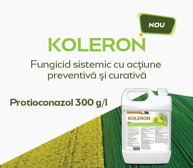 Koleron - fungicid sistemic